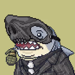 Outlaw Shark #449