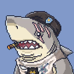 Justice Shark #1824