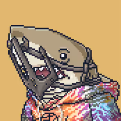 Outlaw Shark #2405