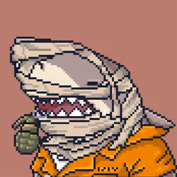 Outlaw Shark #7774