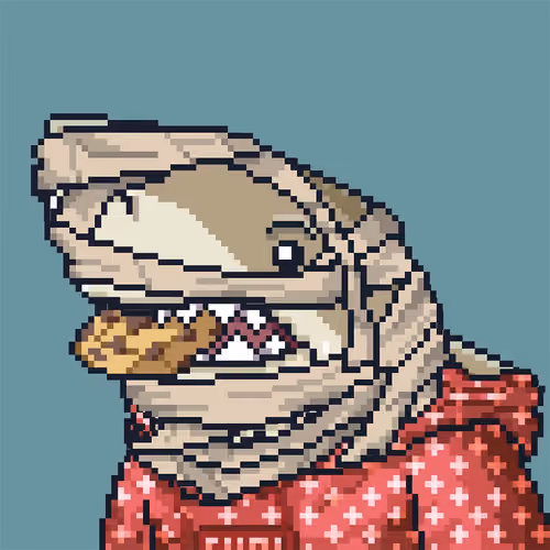 Outlaw Shark #6162