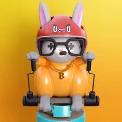 Rabbit #9997