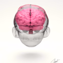 Braindead #20/33