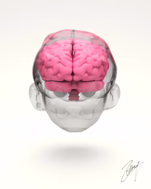 Item #9300010001 Media