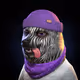 2055