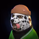 2921