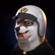 637