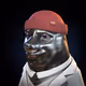 2043