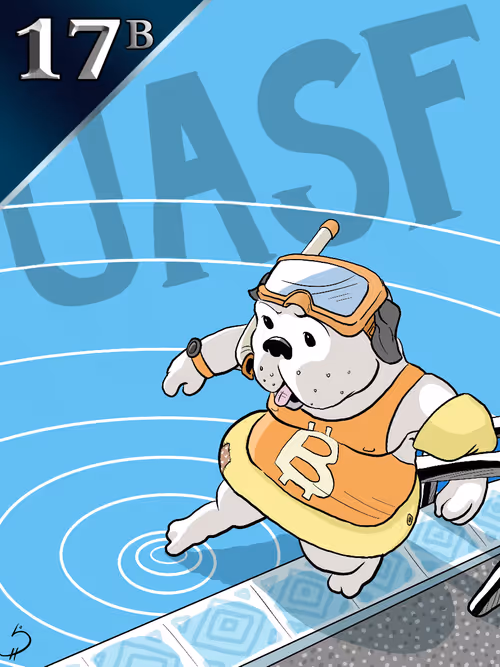 Curio Card #17b (UASF)