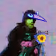 1568