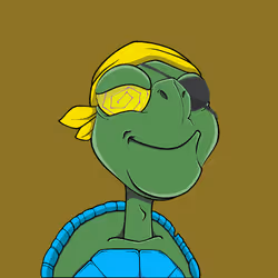 Tortugas TS #35