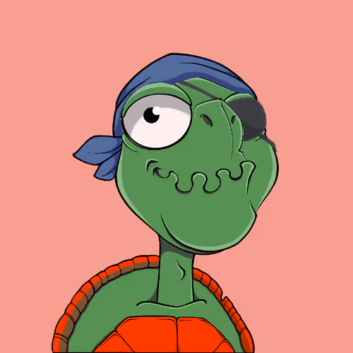 Tortuga V2 1