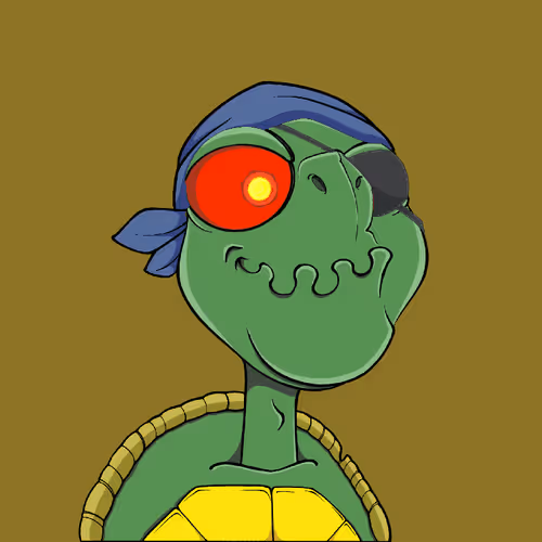 Tortuga V2 1