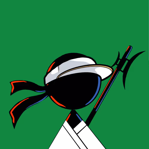 Shape Ninjas 1