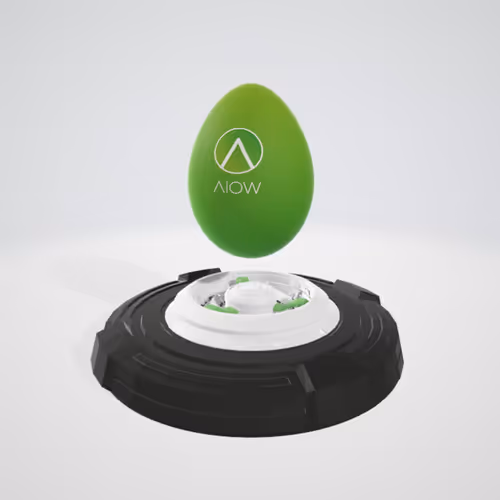 Item #42 Media