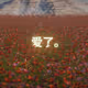 40