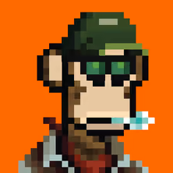 NakapePunks #1955