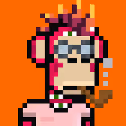 NakapePunks #477