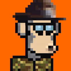 NakapePunks #478