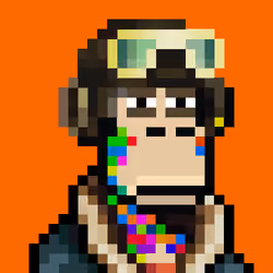 NakapePunks #524