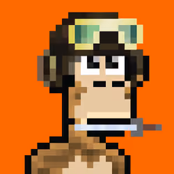 NakapePunks #356