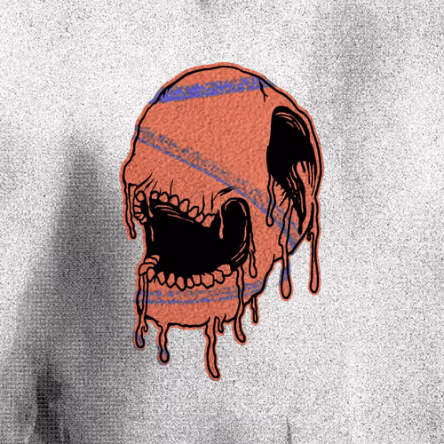 Skoltr Nfts
