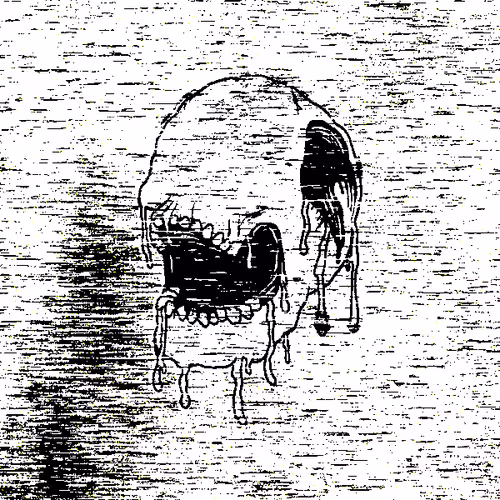 Skoltr Nfts