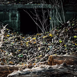 96031176722705098187670564241520056568