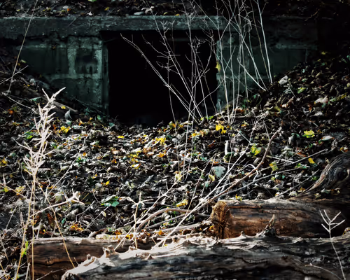 Item #96031176722705098187670564241520056568 Media