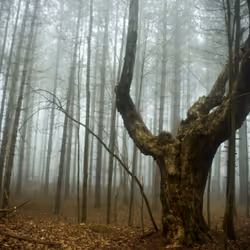 130282927409525935925243790826835988841