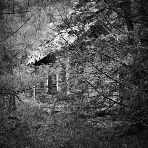 Item #152157400737163313619909215917331369626 Media