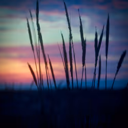 158543681953198661311872288347557352167