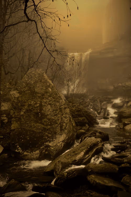 Item #300184351817288533844521049433267442099 Media