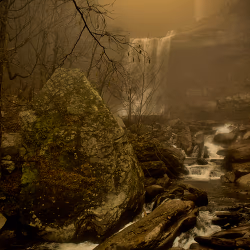 132472972990552916119449771261789835318