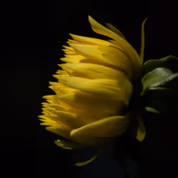 98304719219589339252131204360339951899