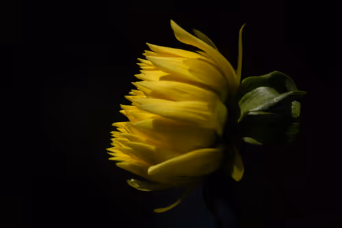 Item #98304719219589339252131204360339951899 Media