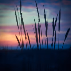 213369135836496430061678679140465175432