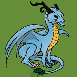 Dracorium #1169