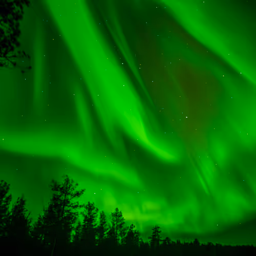 The Hunt for Northern Lights