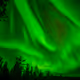 The Hunt for Northern Lights