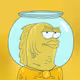 53