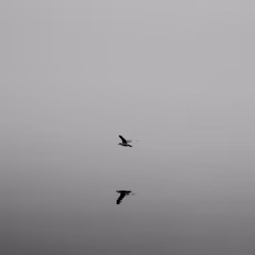 Modern Life in Black & White