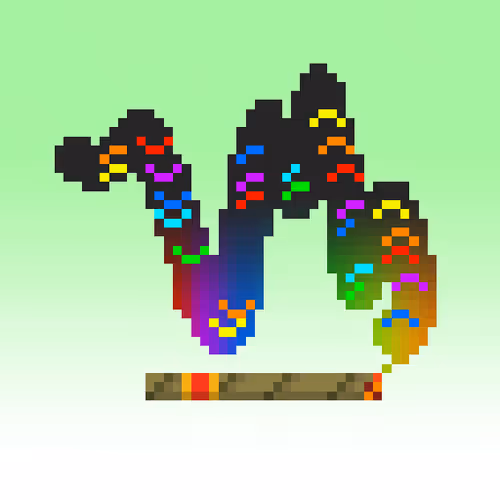 Shmokies