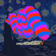 60