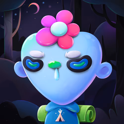 Campcosmos