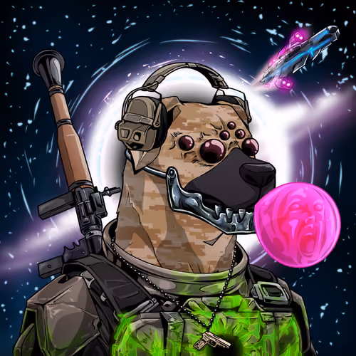 VETPET #49