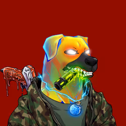 VETPET #236