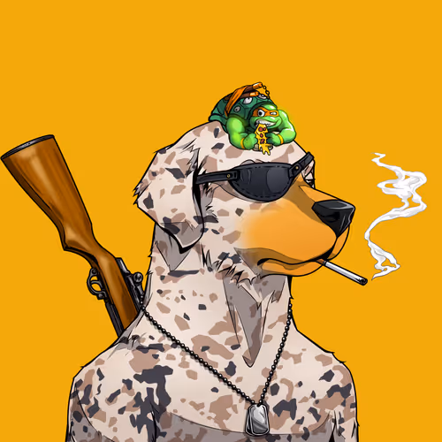 Vetpets 1