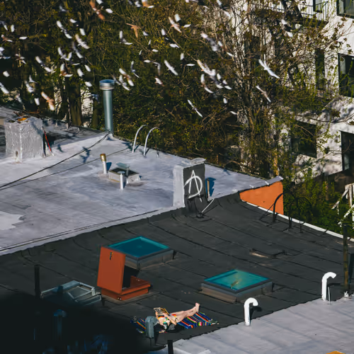 Rooftops2020