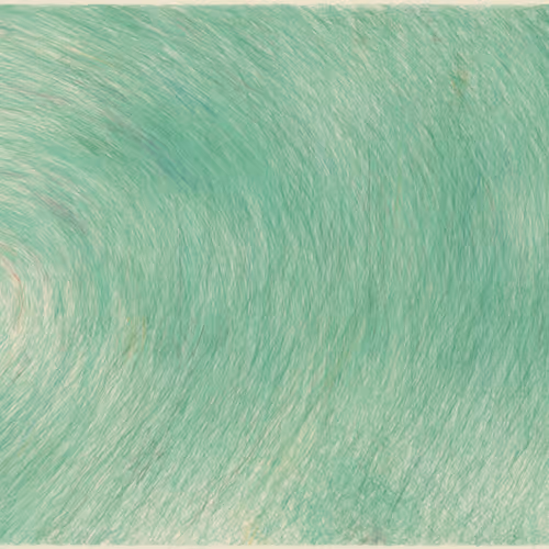Etudes By William Mapan